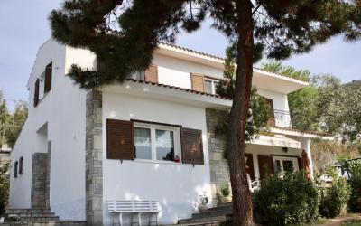 Wonderful villa set amidst lush greenery